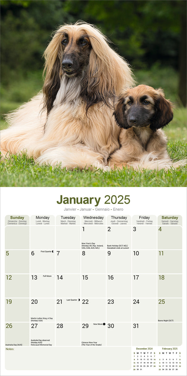 Afghan Kalender 2025 – De Kalenderman