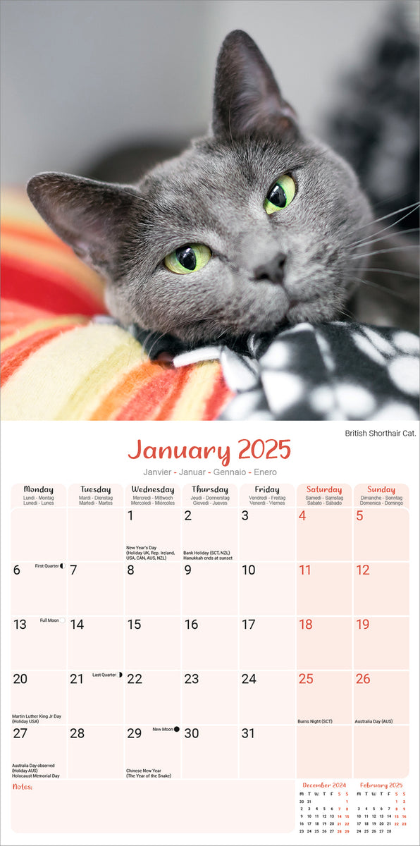 Printable Cat Calendar 2025
