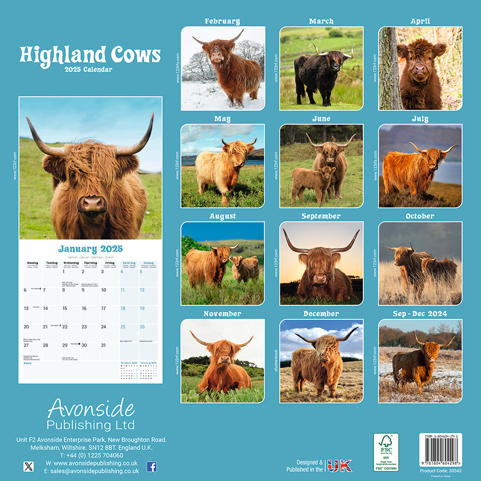 Highland Cows Kalender 2025 De Kalenderman
