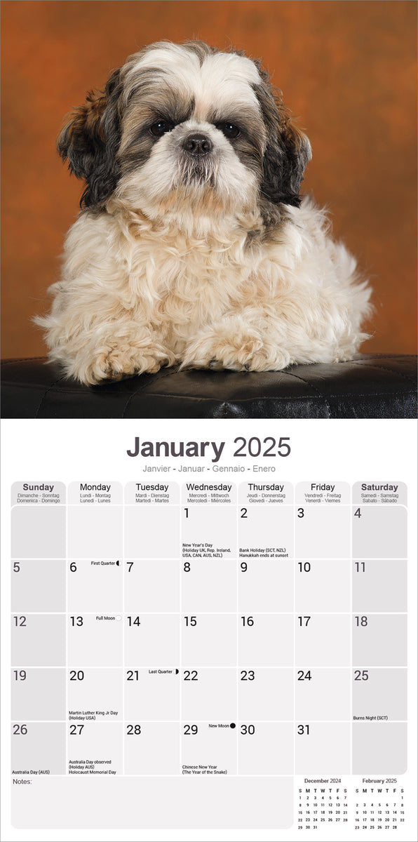 Shih Tzu Kalender 2025 โ De Kalenderman