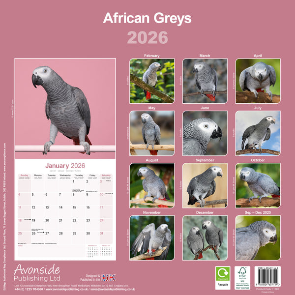 African Greys Kalender 2026
