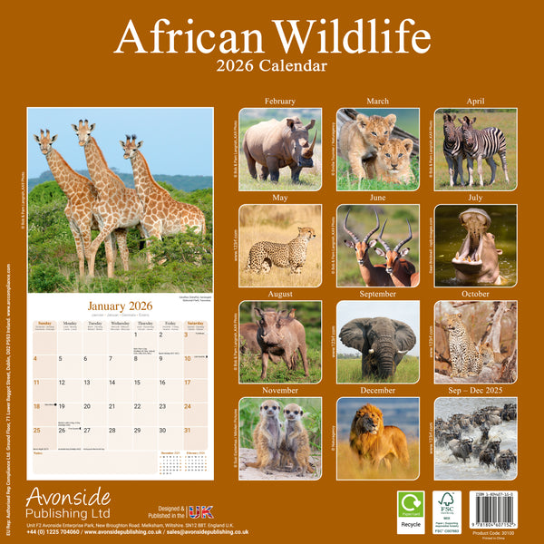 African Wildlife Kalender 2026