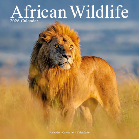 African Wildlife Kalender 2026