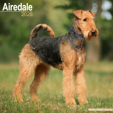 Airdale Kalender 2026