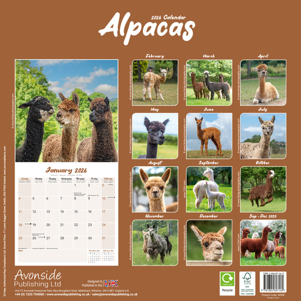 Alpacas Kalender 2026