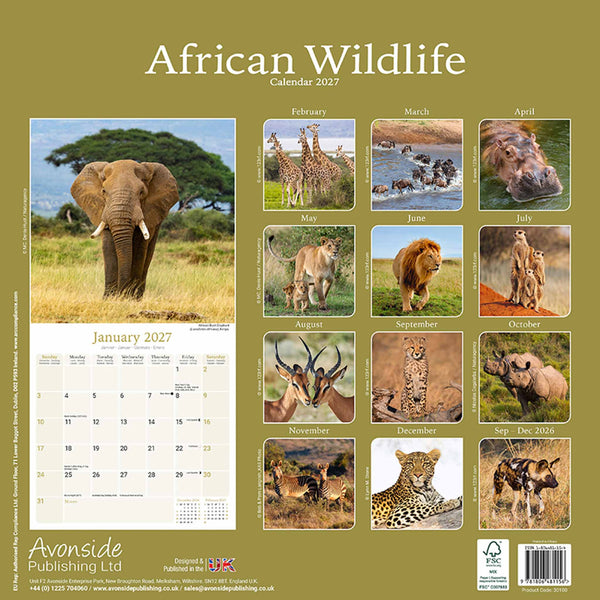 African Wildlife Kalender 2027