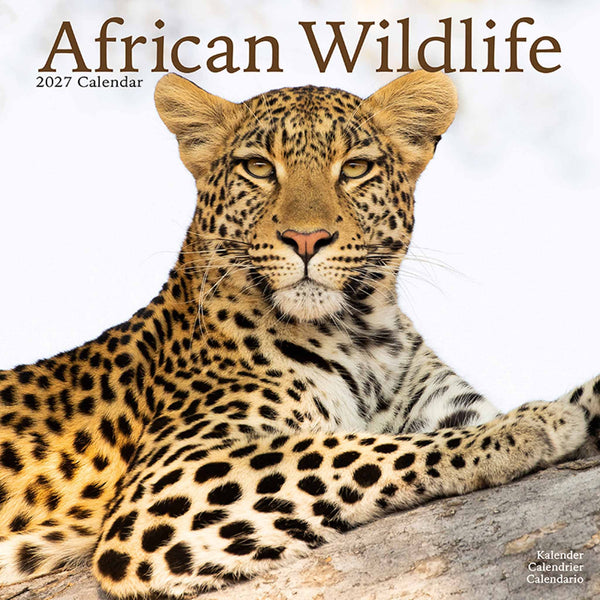 African Wildlife Kalender 2027