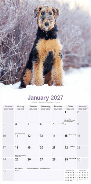 Airdale Kalender 2027