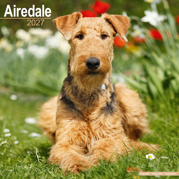 Airdale Kalender 2027