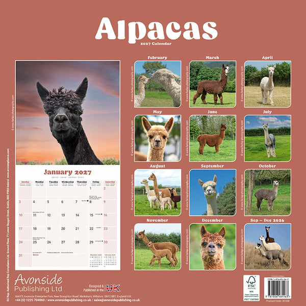 Alpacas Kalender 2027