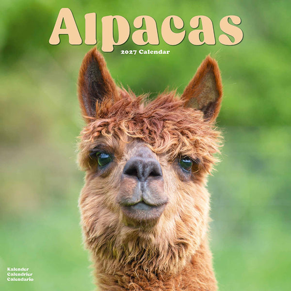 Alpacas Kalender 2027