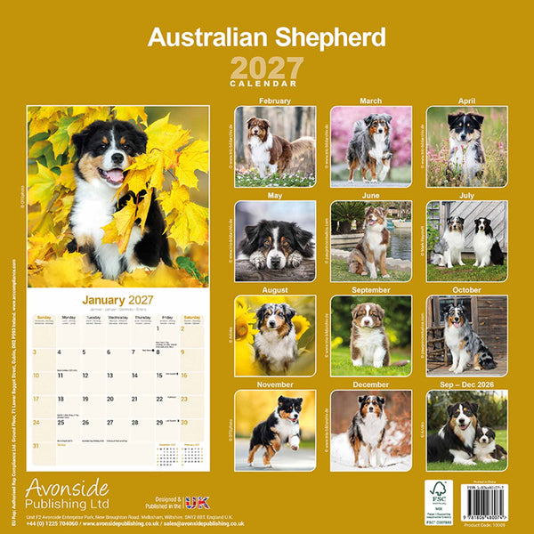 Australian Shephard Kalender 2027