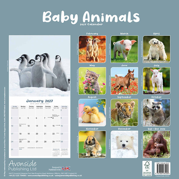 Baby Animals Kalender 2027