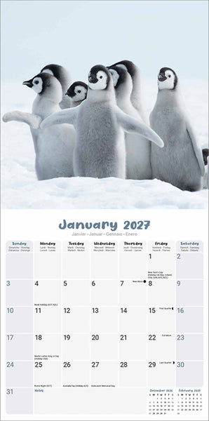 Baby Animals Kalender 2027