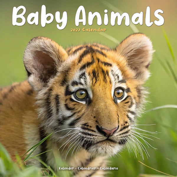 Baby Animals Kalender 2027