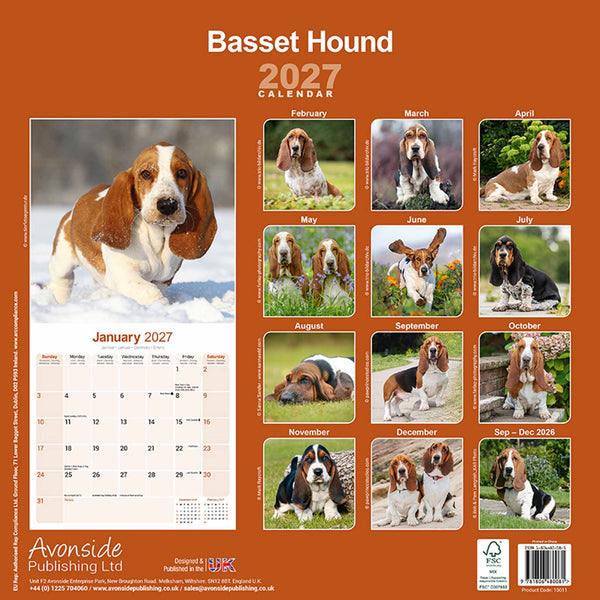 Basset Hound Kalender 2027