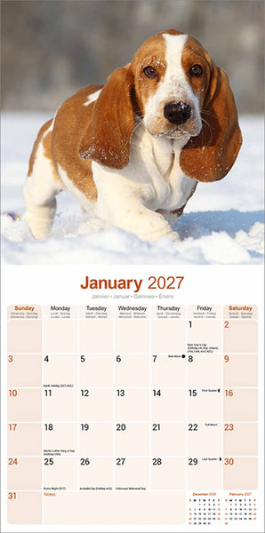 Basset Hound Kalender 2027