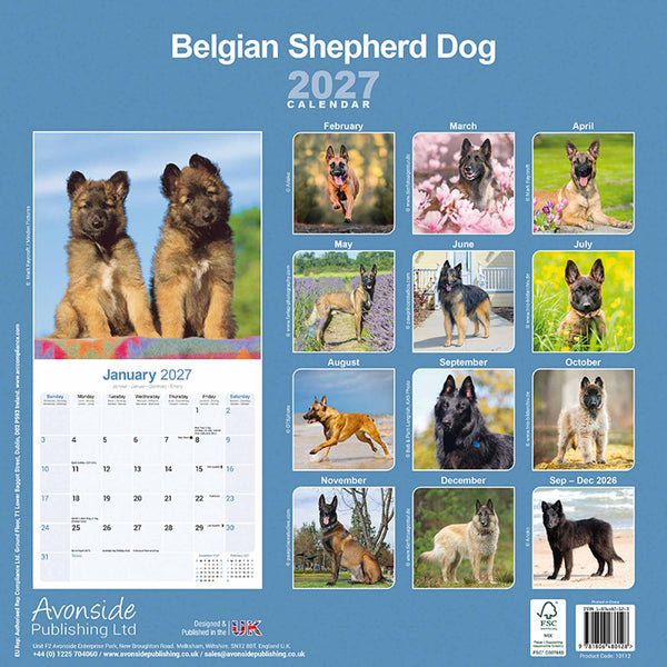 Belgian Shepherd Kalender 2027