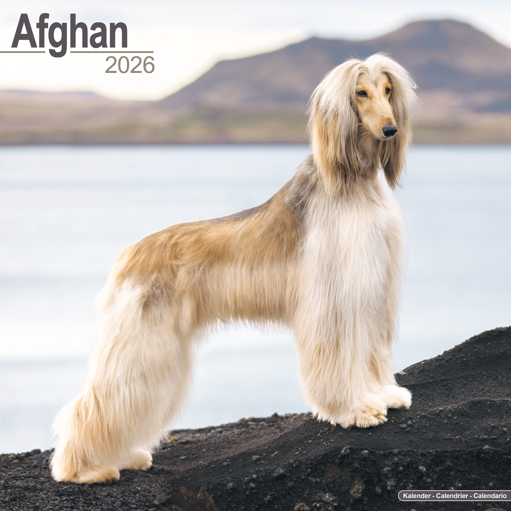 Afghan Kalender 2026