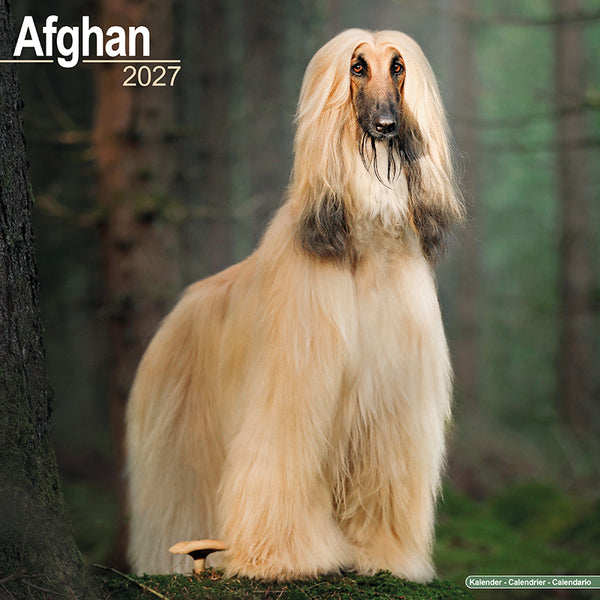 Afghan Kalender 2027
