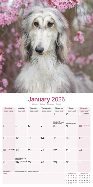 Afghan Kalender 2026