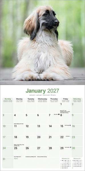 Afghan Kalender 2027