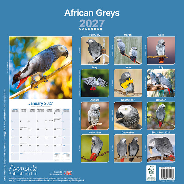 African Greys Kalender 2027