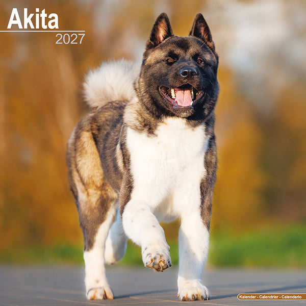 Akita Kalender 2027