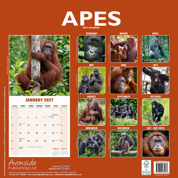 Apes Kalender 2027