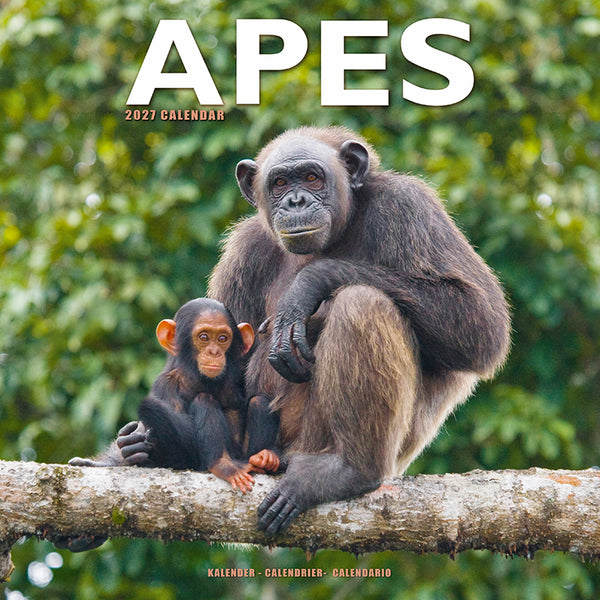 Apes Kalender 2027