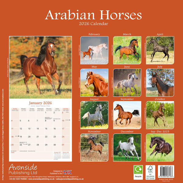 Arabian Horses Kalender 2026