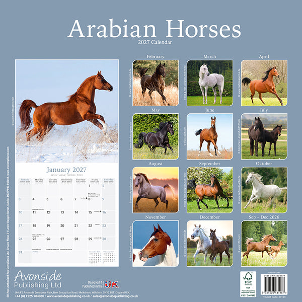 Arabian Horses Kalender 2027