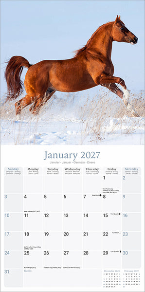 Arabian Horses Kalender 2027