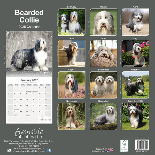 Bearded Collie Kalender 2026 De Kalenderman