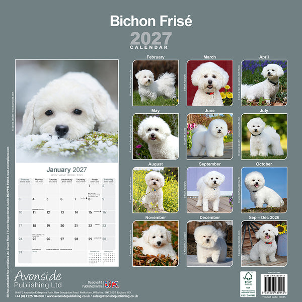 Bichon Frisé Kalender 2027