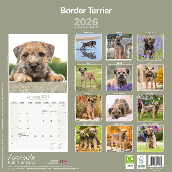 Border Terrier Kalender 2026