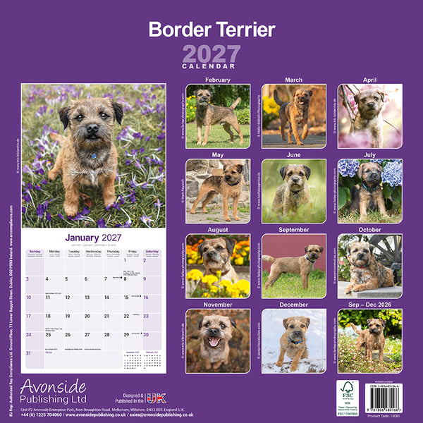 Border Terrier Kalender 2027