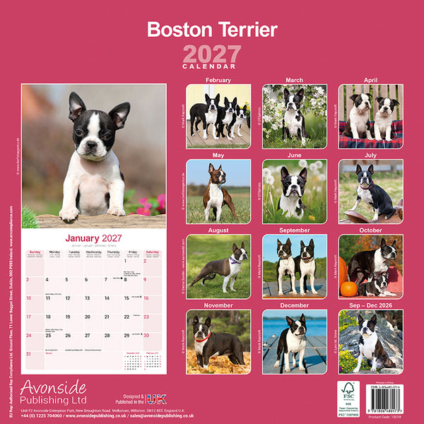 Boston Terrier Kalender 2027