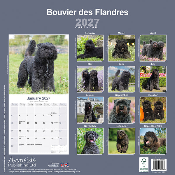 Bouvier des Flandres Kalender 2027