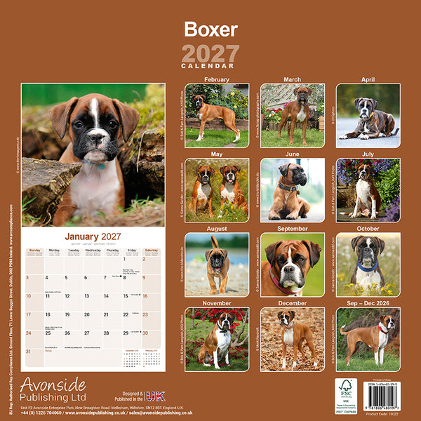 Boxer Kalender 2027