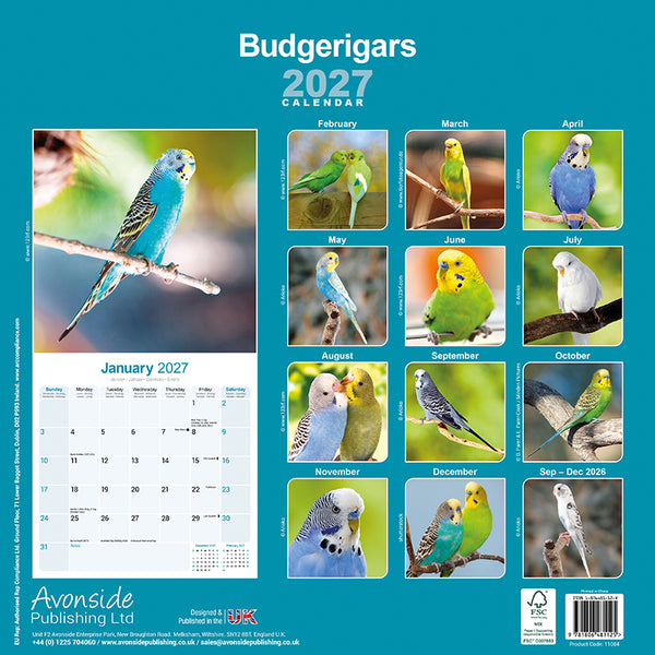 Budgerigars Kalender 2027