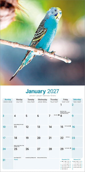 Budgerigars Kalender 2027