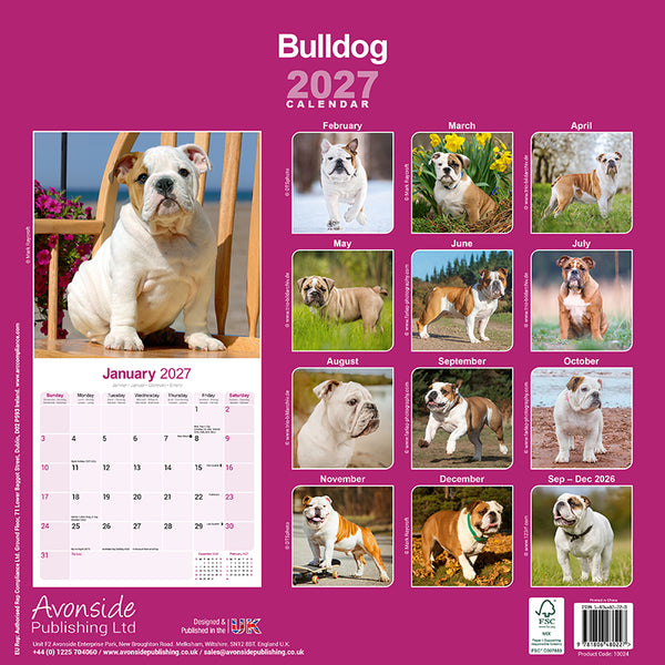 Bulldog Kalender 2027