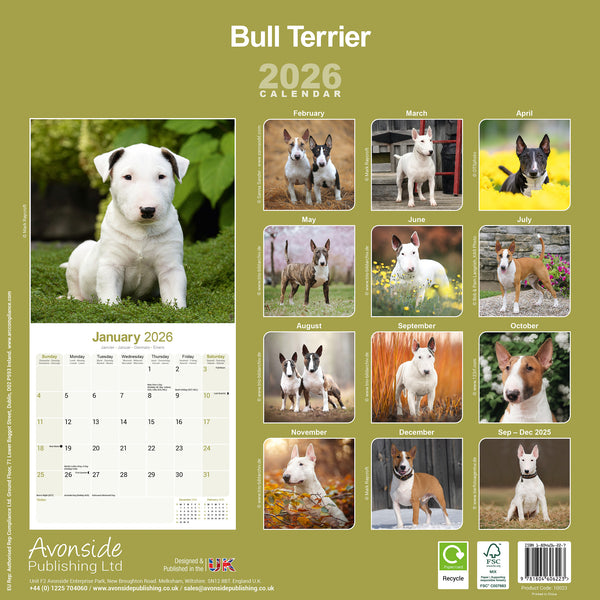 Bull Terrier Kalender 2026
