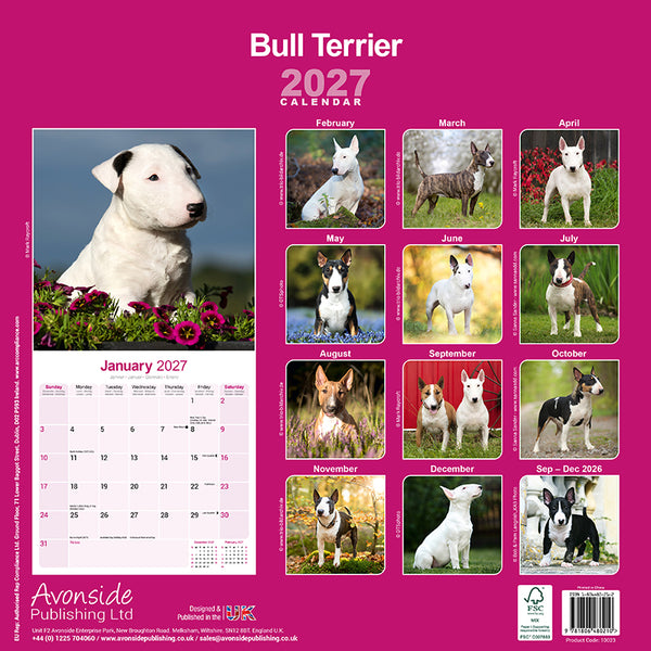 Bull Terrier Kalender 2027