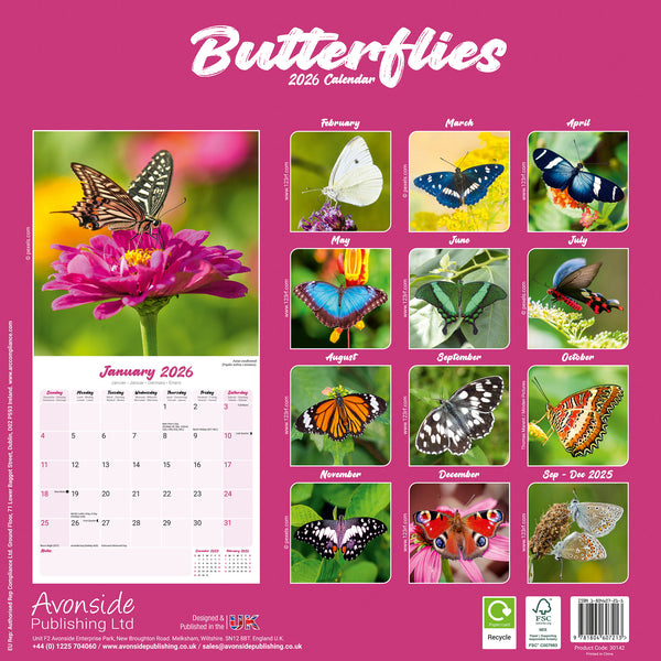 Butterflies Kalender 2026