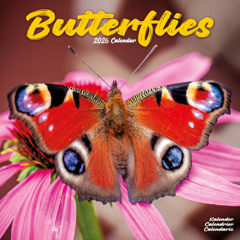 Butterflies Kalender 2026