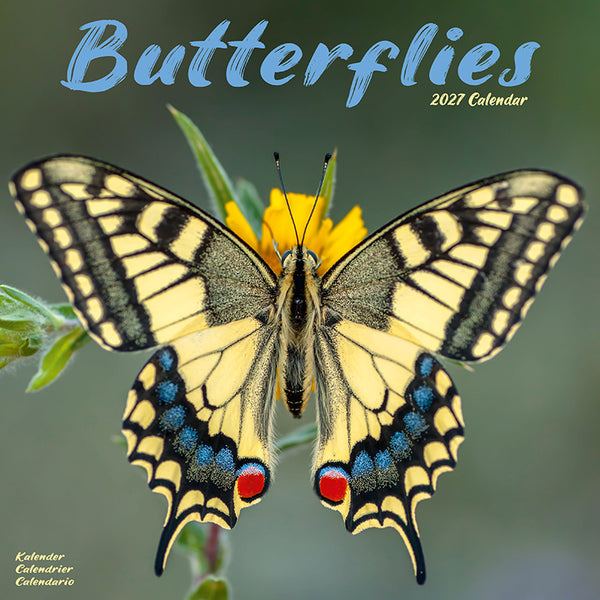 Butterflies Kalender 2027