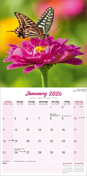 Butterflies Kalender 2026