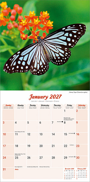 Butterflies Kalender 2027
